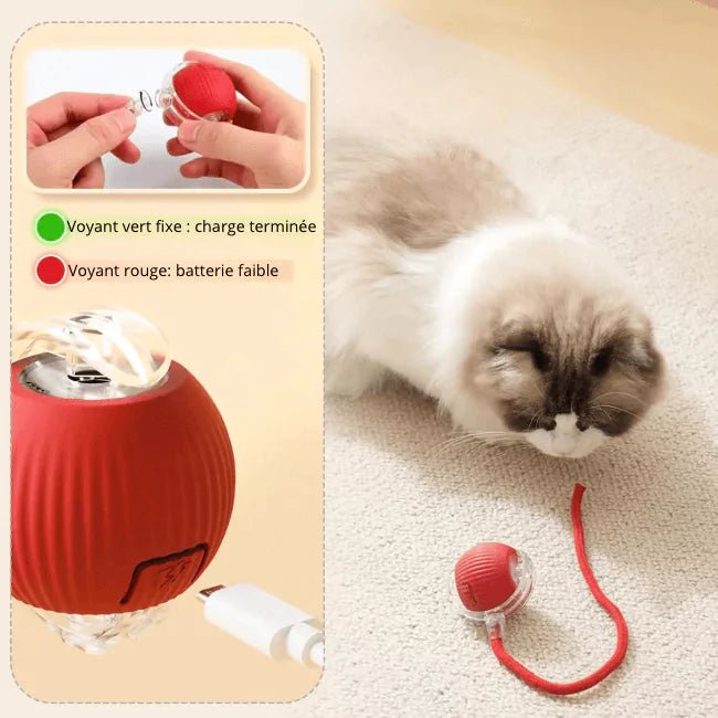 Balle dynamique pour Chat - Éclairage LED – FéliSmart
