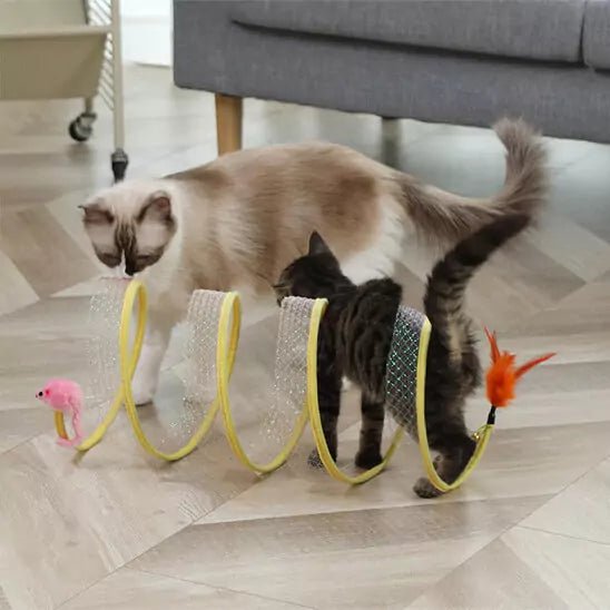 Jeu pour Chat - Féli’Spirale Aventure - Une Feline Vie