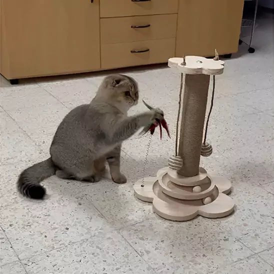 Jeux Chat - Tower Féli’Aventure - Une Feline Vie