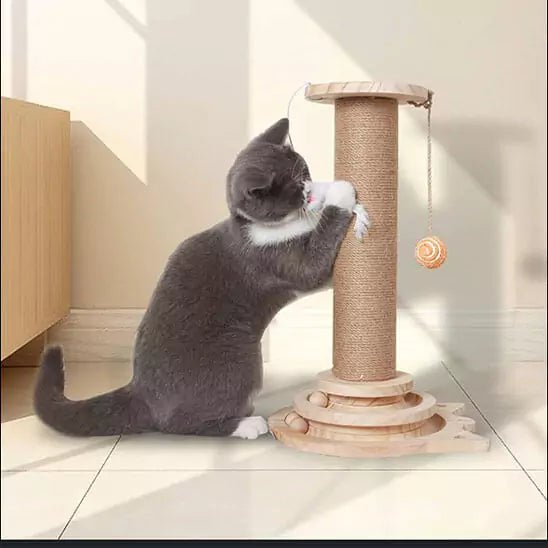 Jeux Chat - Tower Féli’Aventure - Une Feline Vie