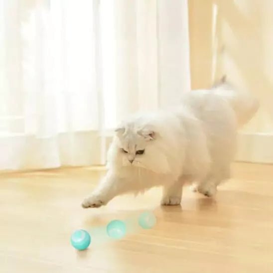 Balles interactives pour chats - FéliFun