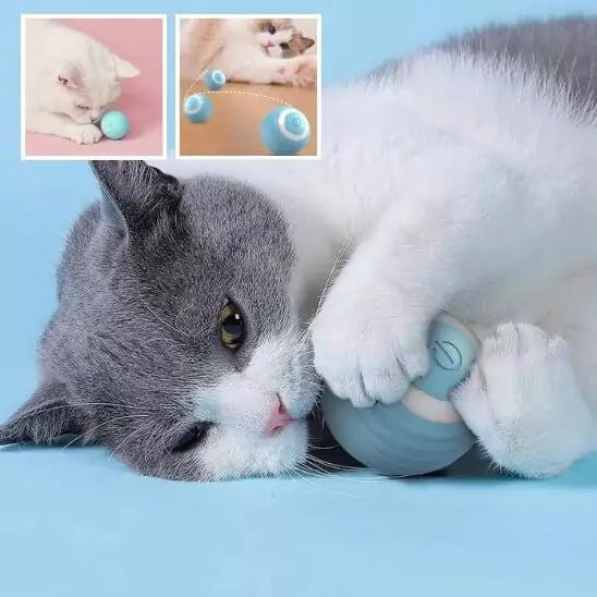 Jouet pour chat contre l'ennui - FélinoSpeed - Une Feline Vie