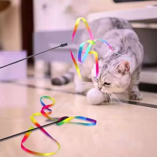 Jouets pour Chat - Ruban Féli’Danse - Une Feline Vie
