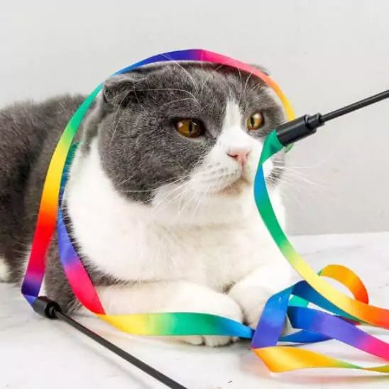 Jouets pour Chat - Ruban Féli’Danse - Une Feline Vie