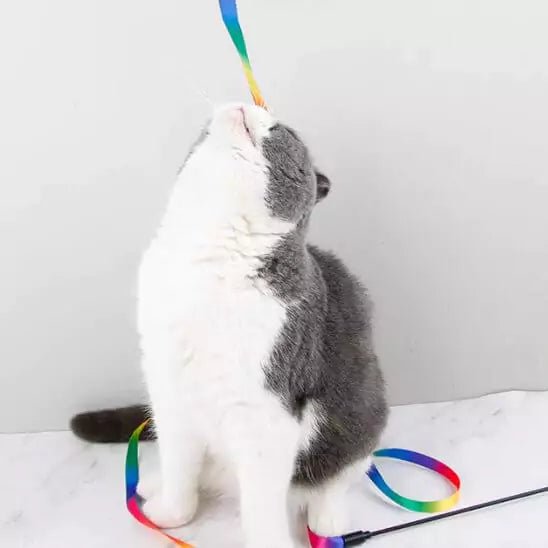 Jouets pour Chat - Ruban Féli’Danse - Une Feline Vie