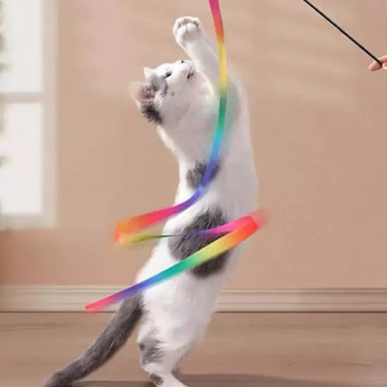Jouets pour Chat - Ruban Féli’Danse - Une Feline Vie