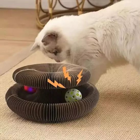 Jouets pour Chats - Féli’Accordéon Zen