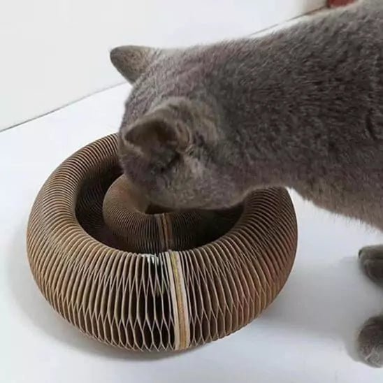 Jouets pour Chats - Féli’Accordéon Zen