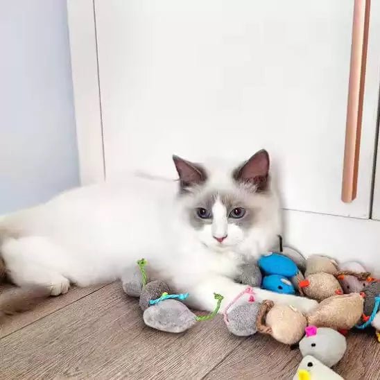 Jouets pour les Chats - Souris Féli'Colors - Une Feline Vie