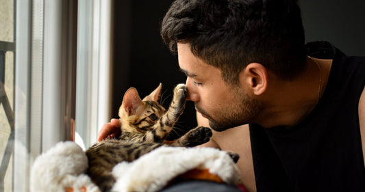 Maladie du chat transmissible à l’homme : Risques et Prévention - Une Feline Vie