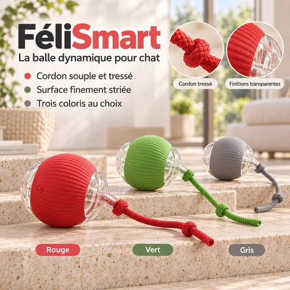Balle Dynamique pour Chat | FéliSmart - Une Feline Vie