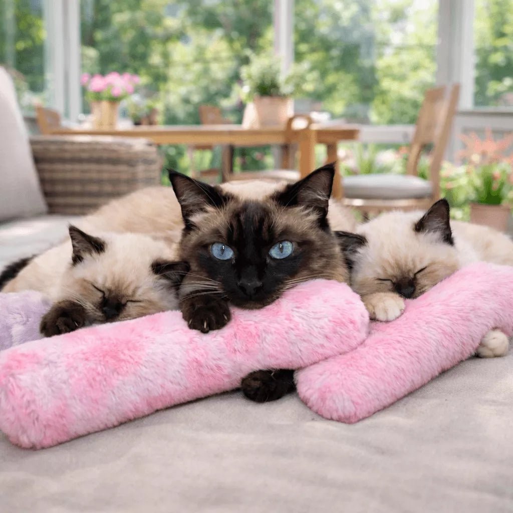 Coussin pour chat Félin’Nuage Câlin rose avec un chat et ses chatons se reposant confortablement