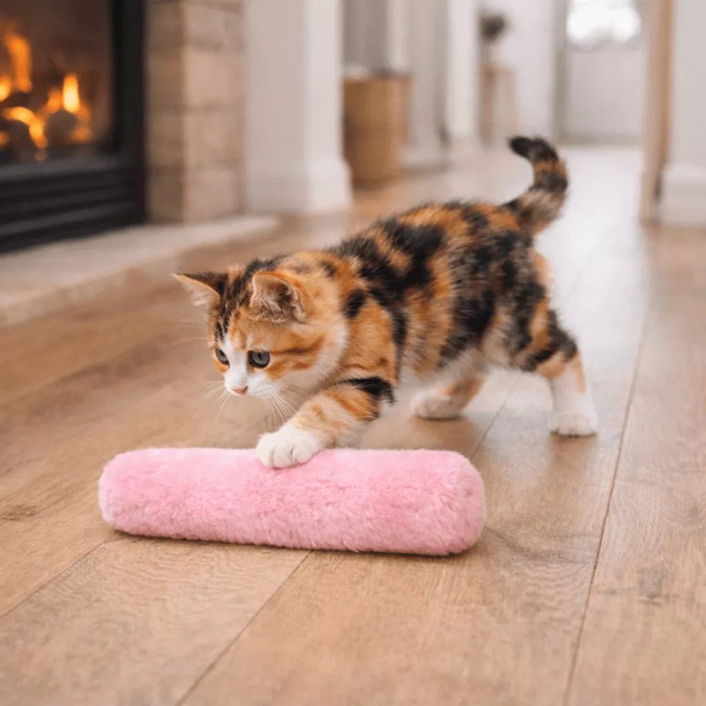 Coussin pour chat Félin’Nuage Câlin rose utilisé par un chaton à l’intérieur près de la cheminée
