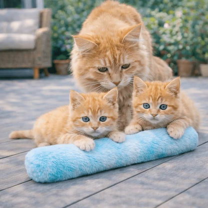 Coussin pour chat Félin’Nuage Câlin bleu avec une famille de chats Maine Coon