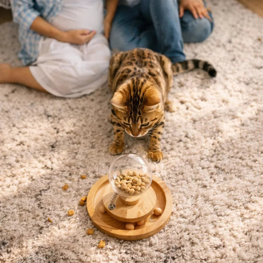 Jeu interactif pour chat en bois avec distributeur de croquettes, observé par un chat Bengal sur un tapis en intérieur avec ses propriétaires à proximité