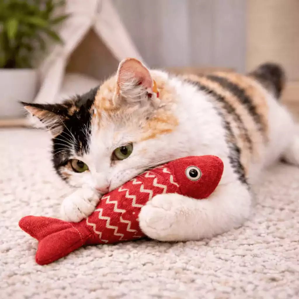 Jeu poisson pour chat rouge sollicitant l’instinct de jeu et l’activité naturelle du chat en intérieur