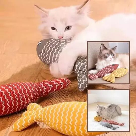 Jeu Poisson pour Chat - Féli’Fish - Une Feline Vie