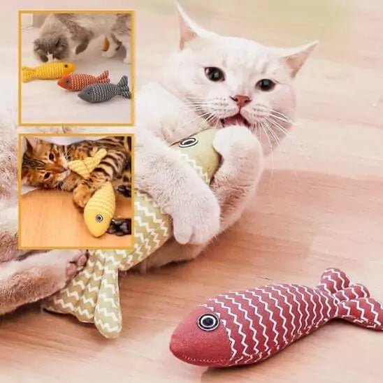Jeu Poisson pour Chat - Féli’Fish - Une Feline Vie