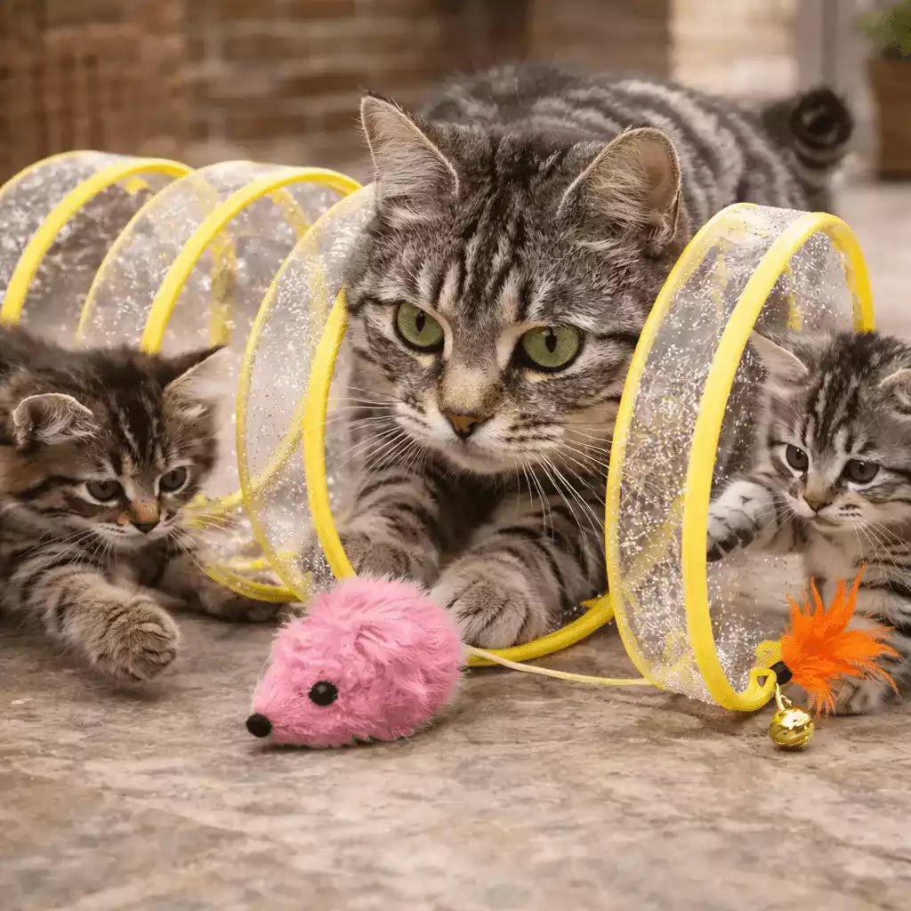Jeu spirale pour chat Féli’Spirale Aventure jaune avec tunnel, souris et plume, utilisé par une maman chat et ses chatons