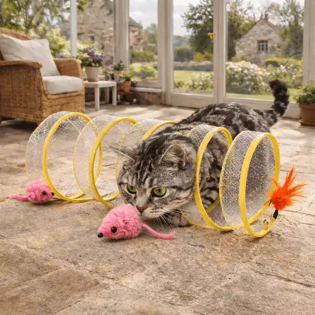 Jeu pour chat Féli’Spirale Aventure jaune, tunnel en spirale avec souris et plume, utilisé par un chat dans une véranda