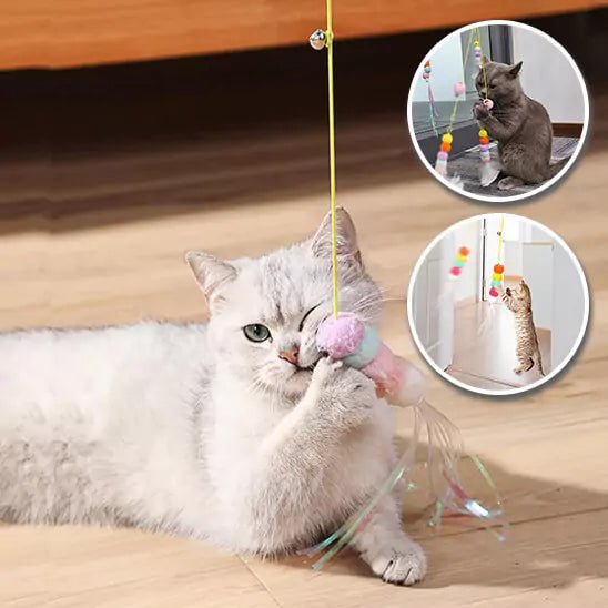 Félin curieux explorant Voltige Féline, un jouet suspendu avec pompon en peluche et plumes légères, conçu pour des heures de jeu actif