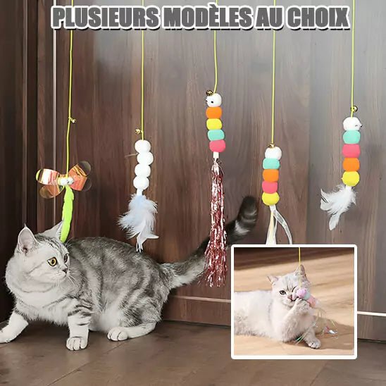 Chat gris explorant la collection Voltige Féline, des jouets suspendus avec plumes et pompons colorés, espace de jeu interactif favorisant le divertissement et l’exercice des félins