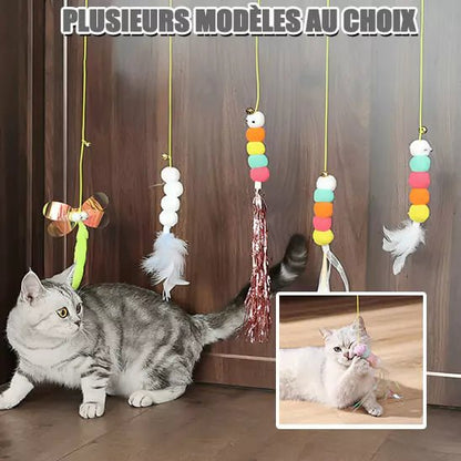 Chat gris explorant la collection Voltige Féline, des jouets suspendus avec plumes et pompons colorés, espace de jeu interactif favorisant le divertissement et l’exercice des félins