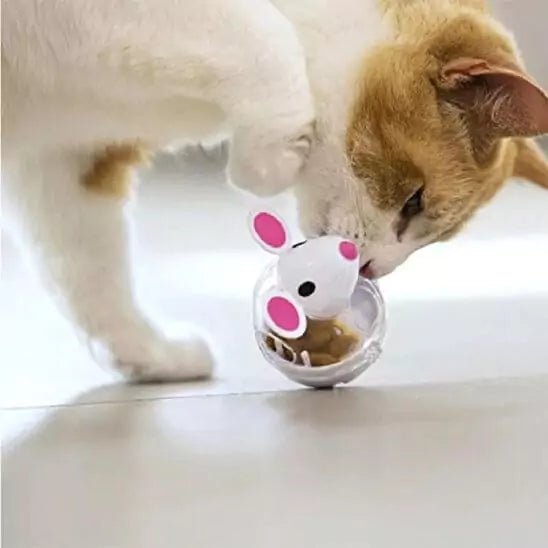 Jeux pour les Chats - Distributeur Féli’Croque - Une Feline Vie