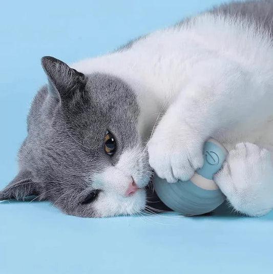 Chat allongé câlinant la Balle Interactive FéliFun bleue – Jouet pour Chat stimulant et apaisant