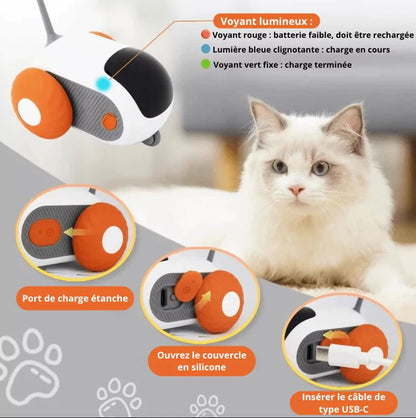 Jouet pour chat contre l'ennui - FélinoSpeed - Une Feline Vie