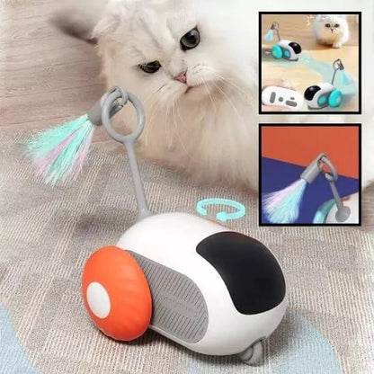 Jouet pour chat contre l'ennui - FélinoSpeed - Une Feline Vie