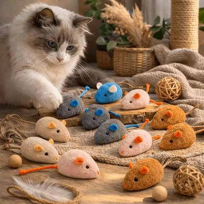 Jouet souris pour chat en lot multicolore disposé sur un plateau en bois devant un chat installé dans un intérieur chaleureux