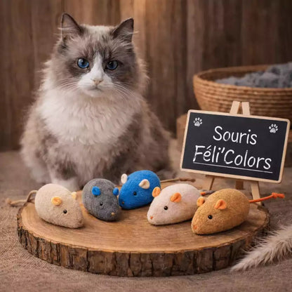Jouet souris pour chat en lot multicolore présenté sur support en bois avec chat en arrière-plan