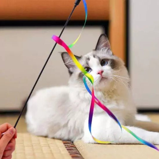 Jouets pour Chat - Ruban Féli’Danse - Une Feline Vie