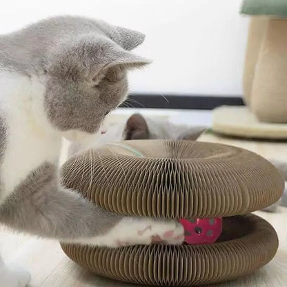 Jouets pour Chats - Féli’Accordéon Zen