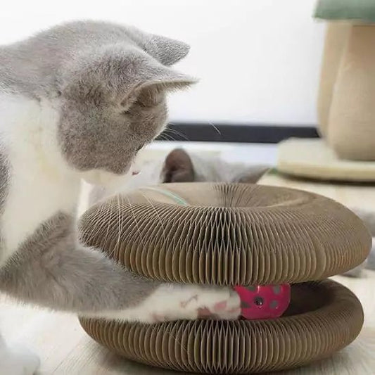 Jouets pour Chats - Féli’Accordéon Zen