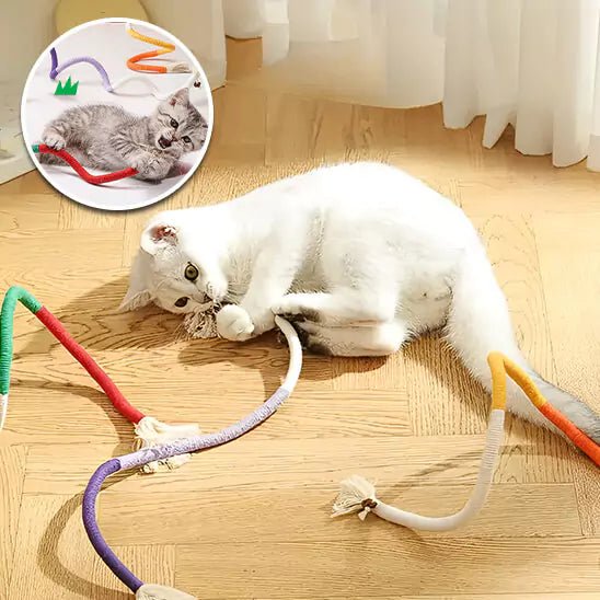 Jouets pour les Chats – Corde Feline’Fun, chaton tigré et chat blanc avec les trois coloris du modèle, stimulant leur instinct de chasse
