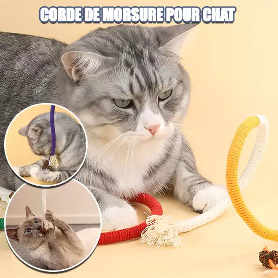 Jouets pour les Chats – Corde Feline’Fun, chat tigré saisissant la corde en coton, favorisant le nettoyage des dents