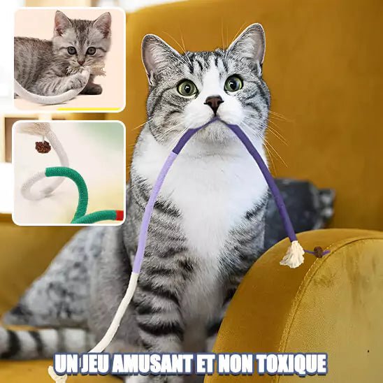 Jouets pour les Chats – Corde Feline’Fun, un accessoire sûr et stimulant pour offrir un moment ludique à votre félin