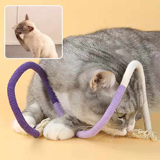 Jouets pour les Chats – Corde Feline’Fun Violette, chat gris la mordant, idéal pour stimuler la mastication et l’instinct de chasse