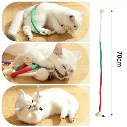 Jouets pour les Chats – Corde Feline’Fun Vert-Rouge, chat blanc la mord, 70 cm d’action pour un jeu interactif
