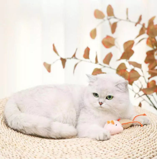 Jouets pour les Chats - Souris Féli'Colors - Une Feline Vie