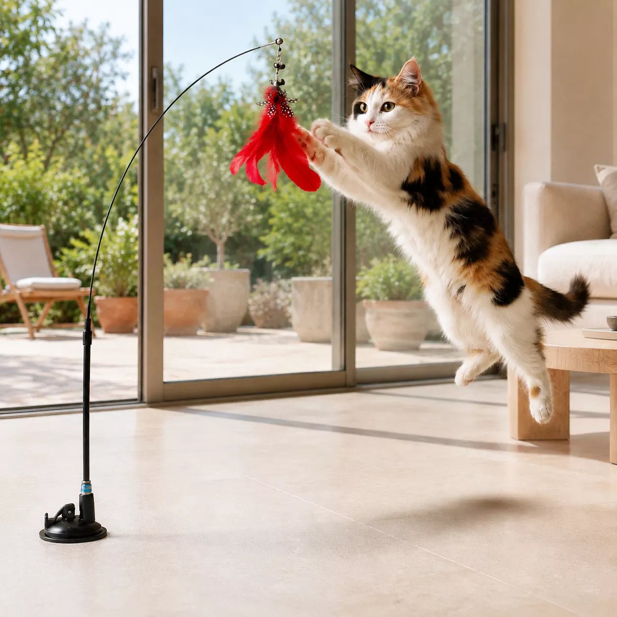 Plume pour Chat - AéroPlume Féline - Une Feline Vie