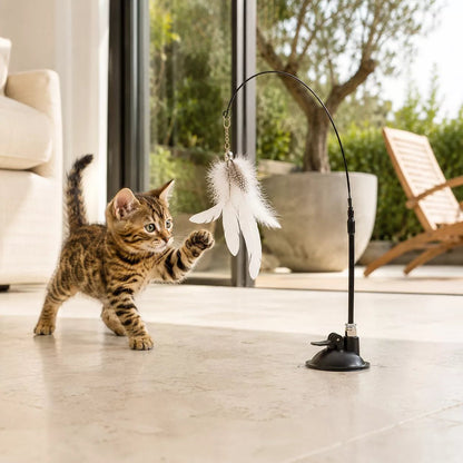 Un chaton tigré s’avance, la patte levée, vers une plume pour chat blanche fixée au sol devant une baie vitrée