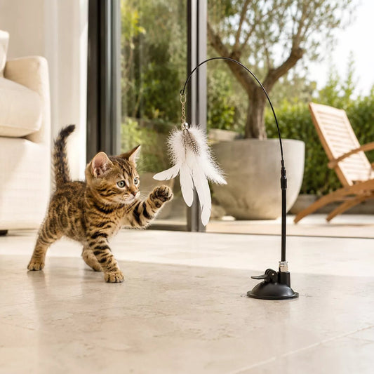 Un chaton tigré s’avance, la patte levée, vers une plume pour chat blanche fixée au sol devant une baie vitrée