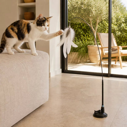 Debout sur un canapé, une chatte isabelle tend la patte vers une plume pour chat blanche fixée par ventouse au sol