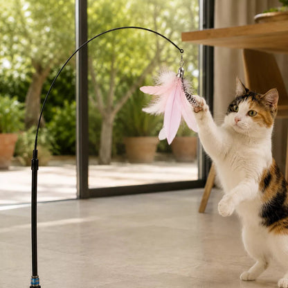 Debout sur ses pattes arrière dans un salon lumineux, une chatte isabelle saisit une plume pour chat rose