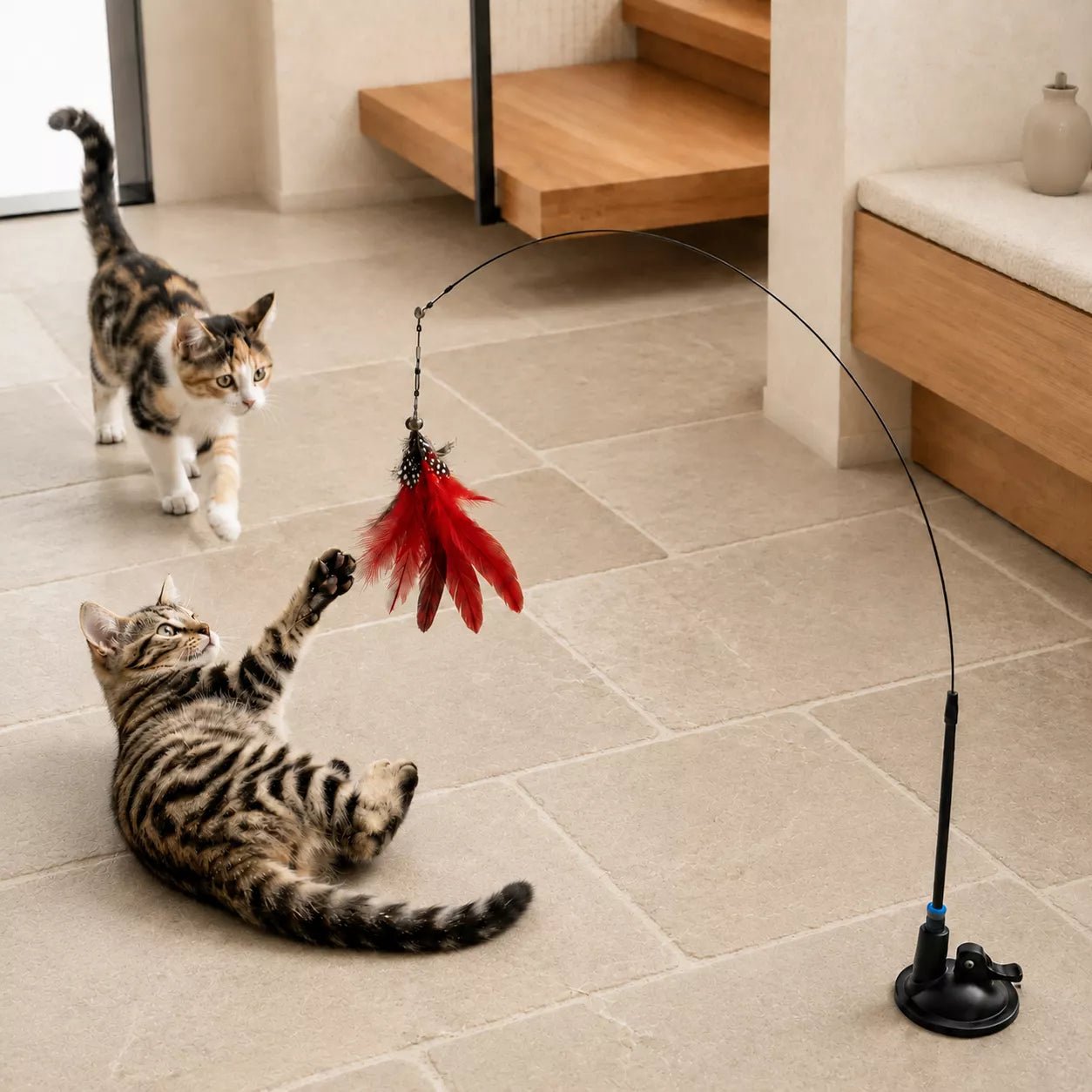 Allongé au sol, un chaton tigré tend ses pattes vers une plume pour chat rouge pendant qu’un chaton isabelle approche