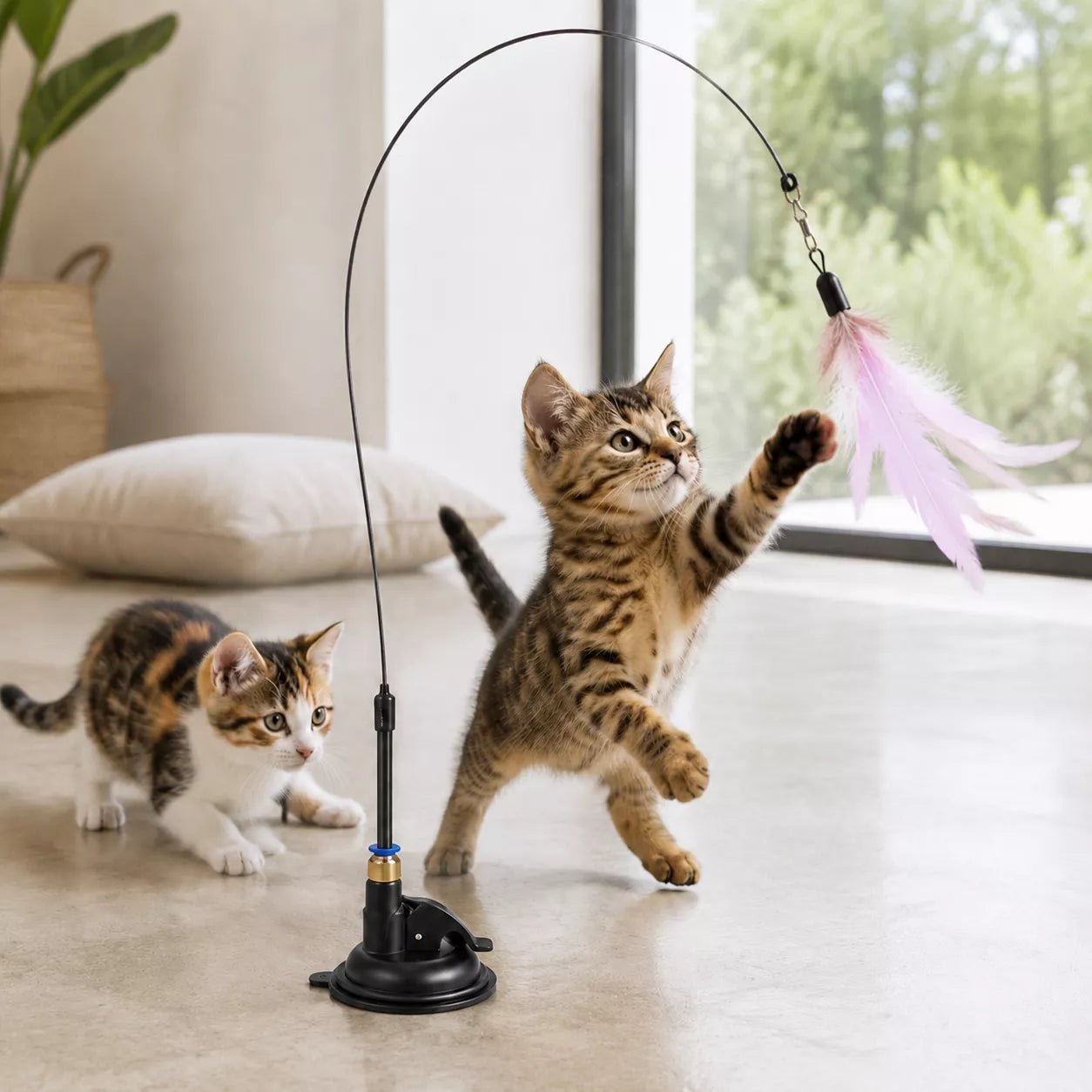 Plume pour chat AéroPlume Féline à ventouse, attrapée par un chaton tigré sous le regard d’un chaton isabelle près d’une baie vitrée