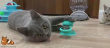 Charger et lire la vidéo dans la visionneuse de la Galerie, Chat Moulin™ - Jouet + Massage Dents et Visage
